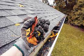 Gutter Clean